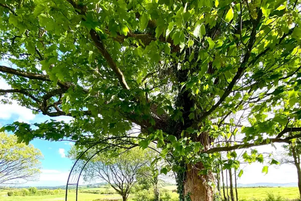 Avalen Farm photo 6