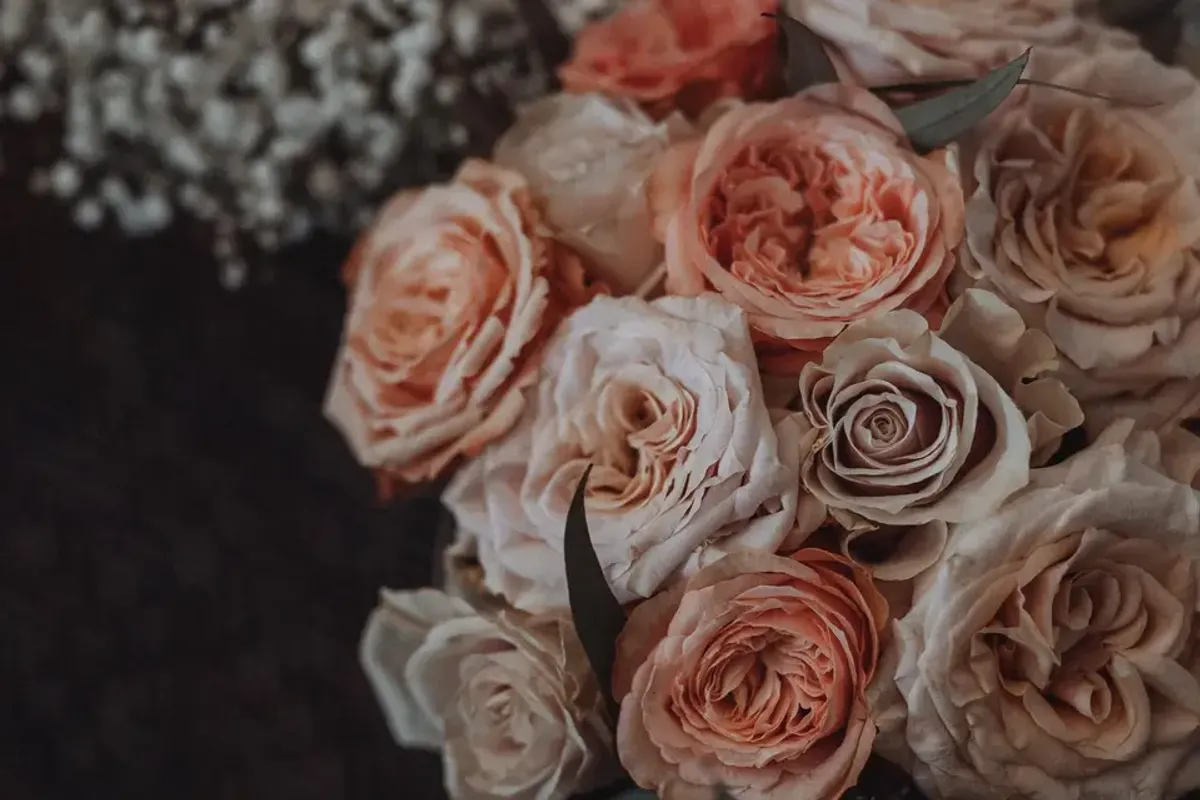 F For Flower — florists in South West London, UK