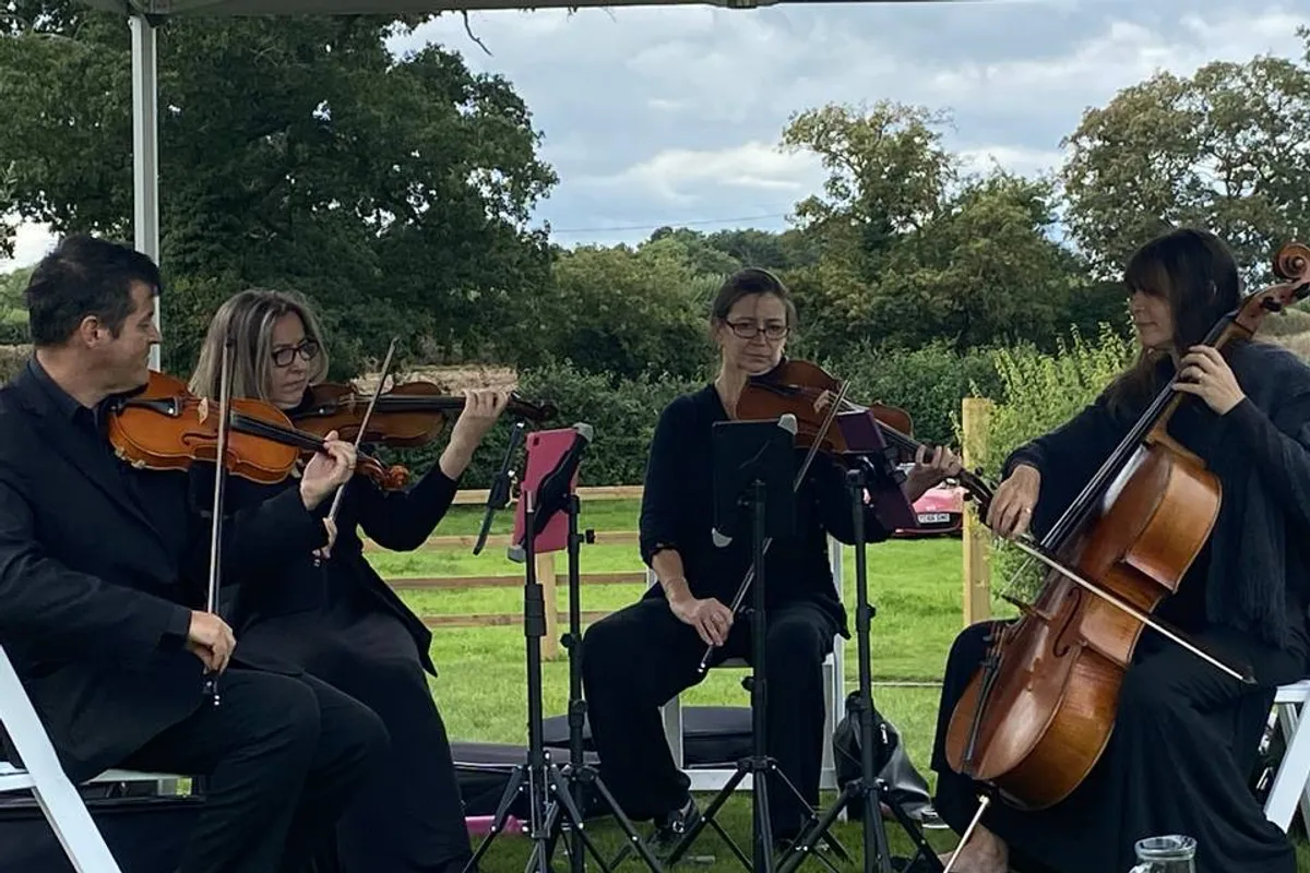 Kings String Quartet photo 1