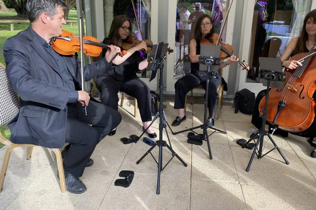 Kings String Quartet photo 6