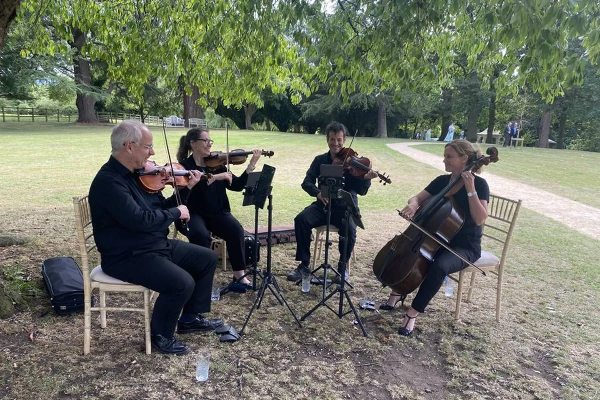 Kings String Quartet photo 7