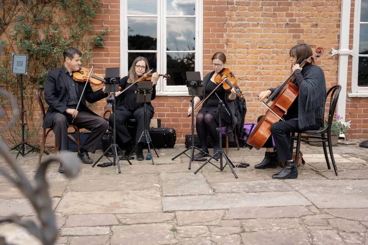 Kings String Quartet photo 5