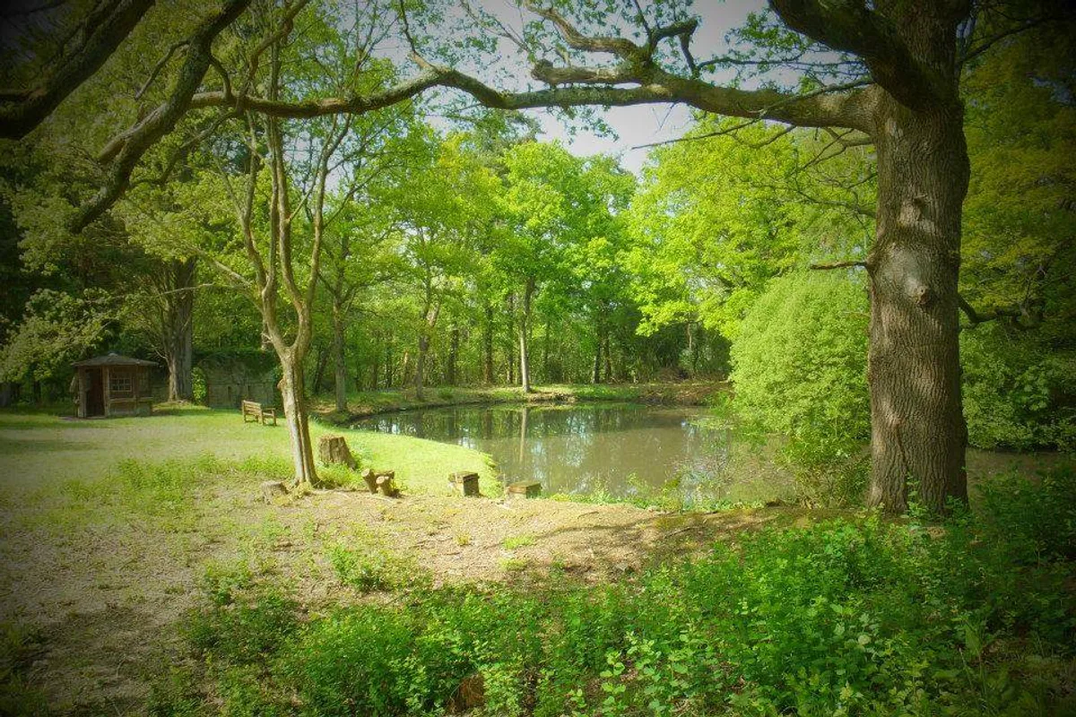 Gaveston Hall photo 2