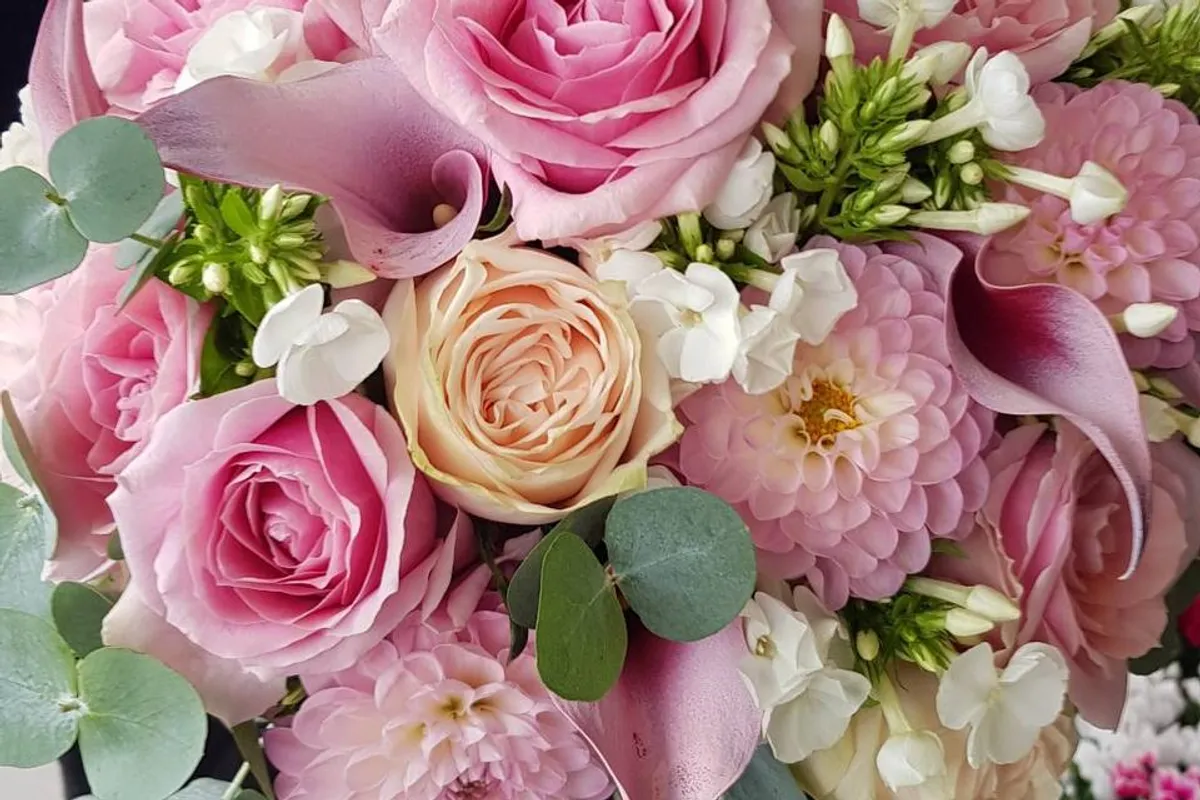 Fresh Flower Scent photo 1