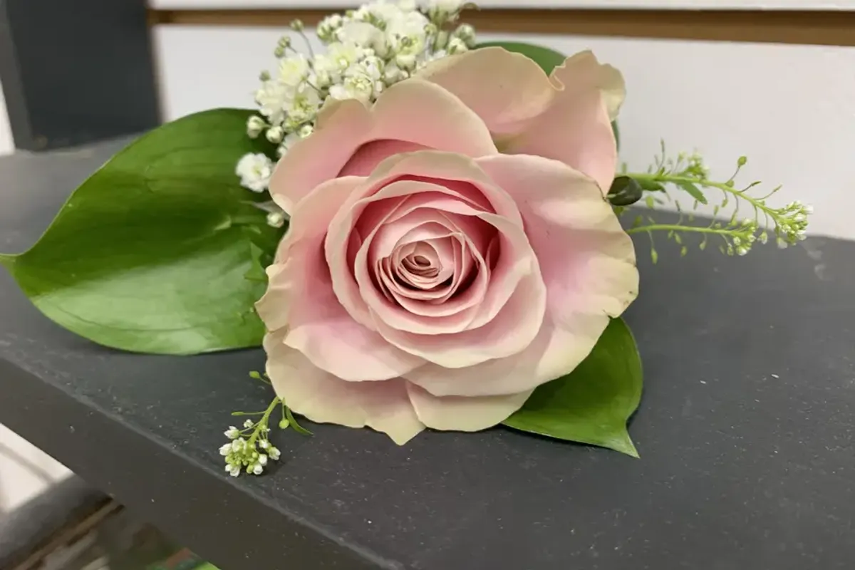 Stems Florists — florists in Cornwall, UK