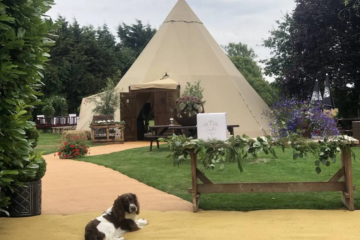 Swan Tipis photo 7