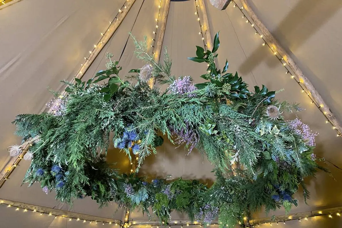 Swan Tipis photo 1