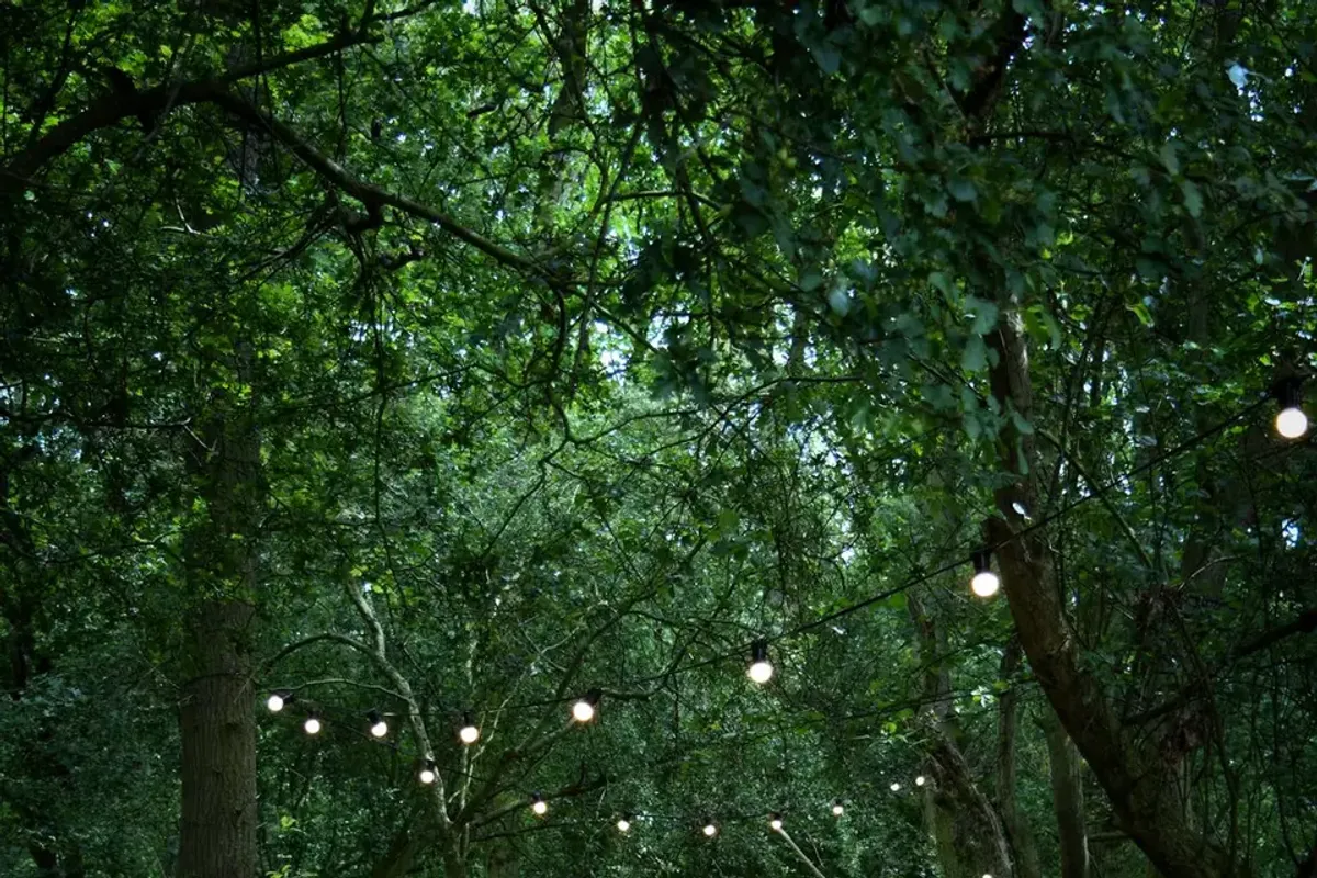 Rydals Meadow photo 5