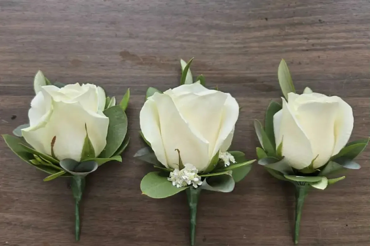 Olive and Bloom photo 4