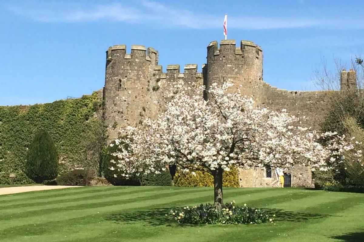 Amberley Castle photo 11