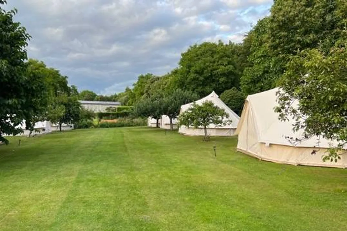 GP Marquees photo 8