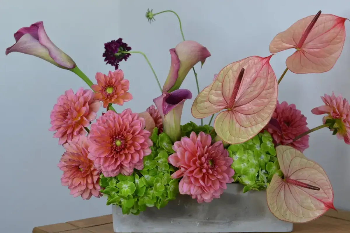 Kiki and Blooms — florists in West London, UK