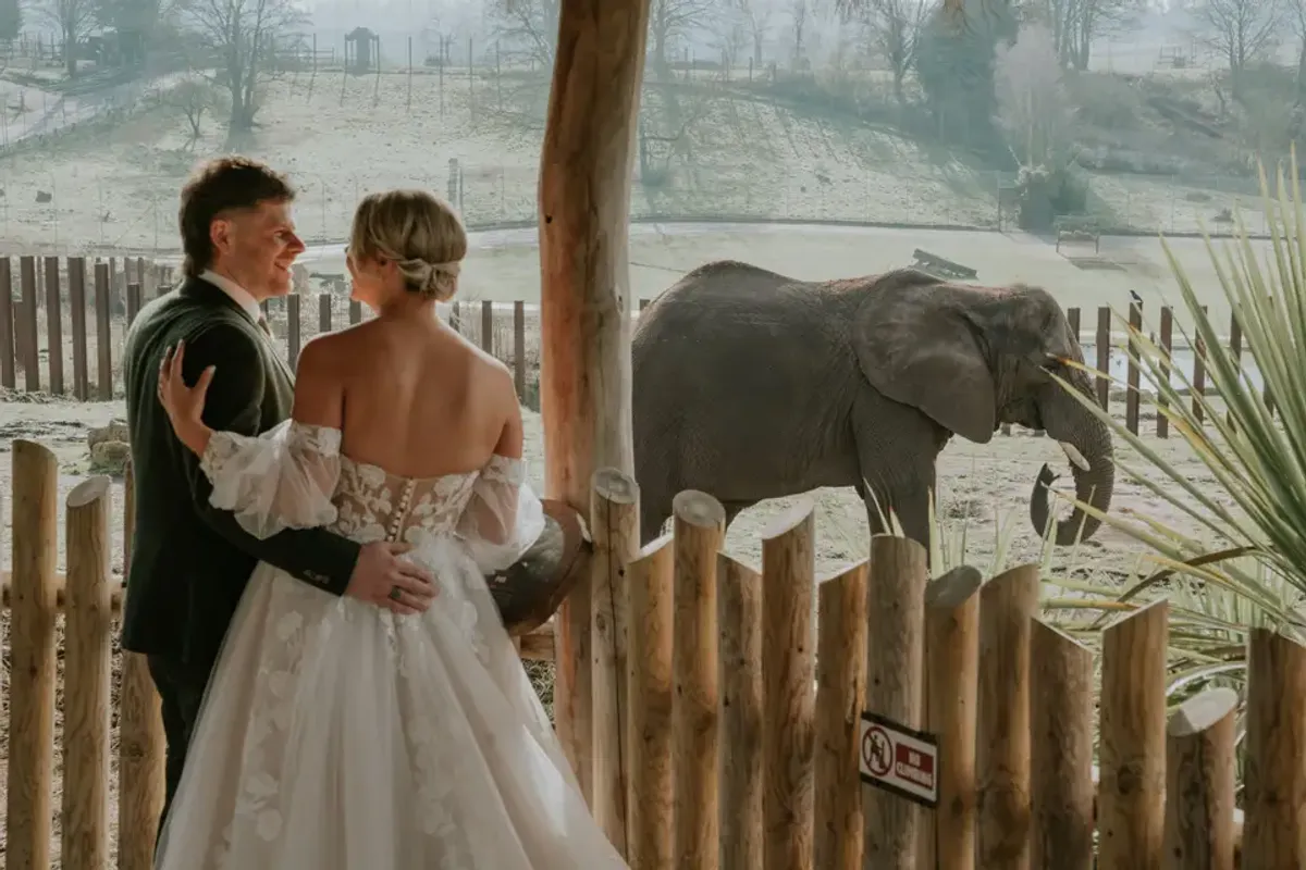 West Midlands Safari Park, wedding venue in Worcestershire, UK