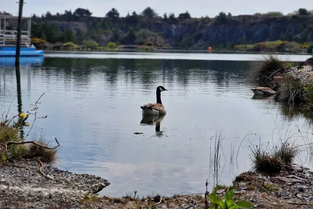 Trevassack Lake photo 10