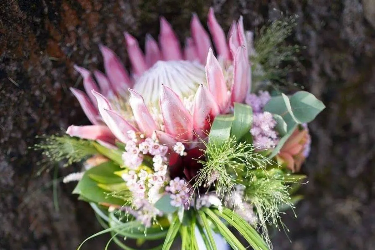 Louises Flower Boutique photo 4