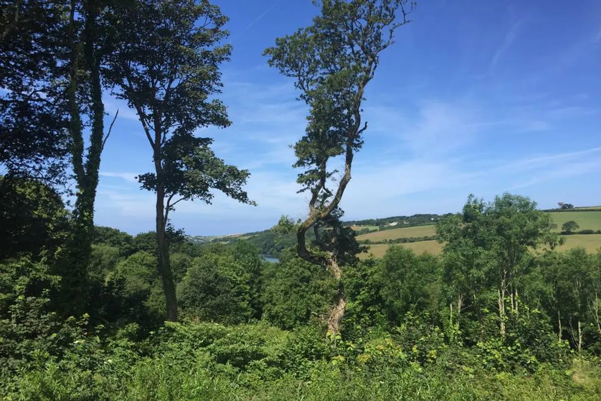 The Fir Hill Estate photo 7