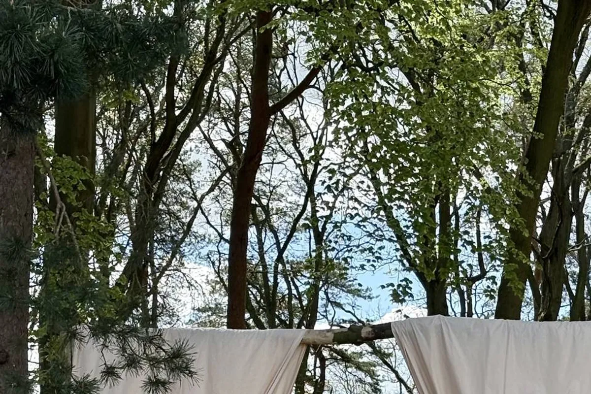 Forest Lodge Weddings photo 4
