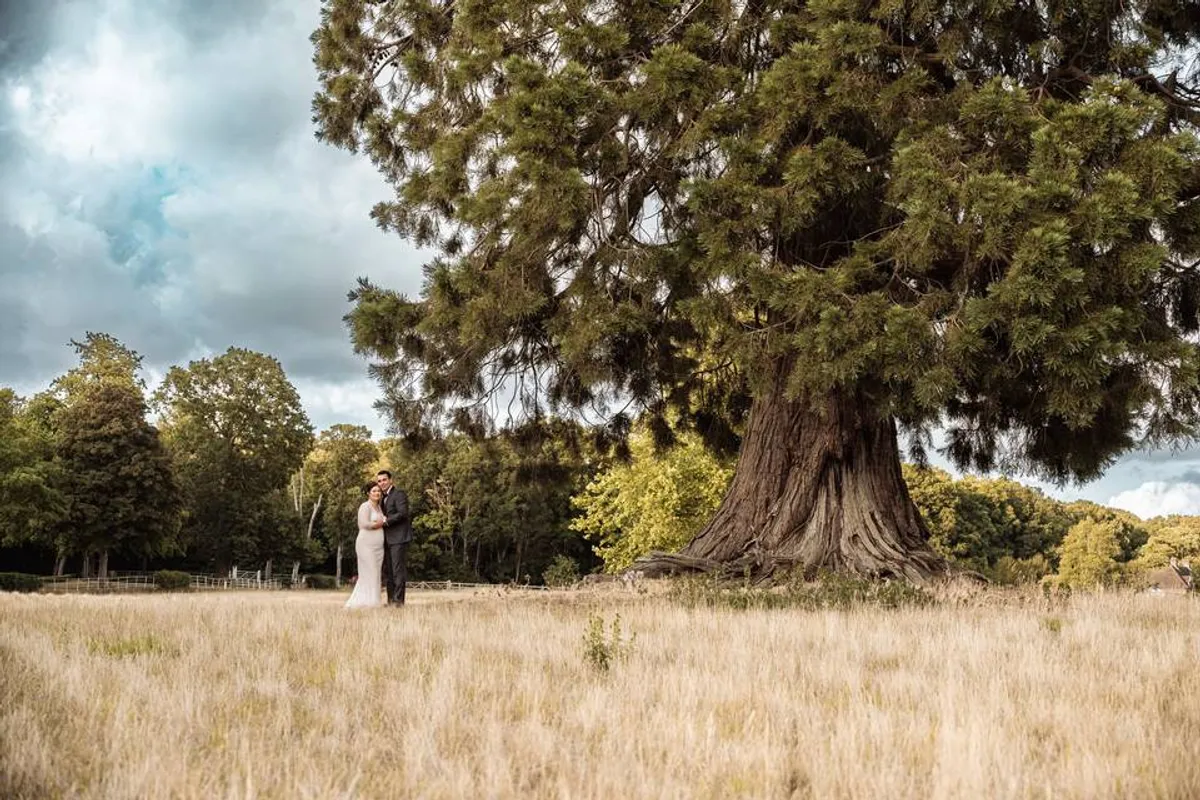 Gosfield Hall photo 12