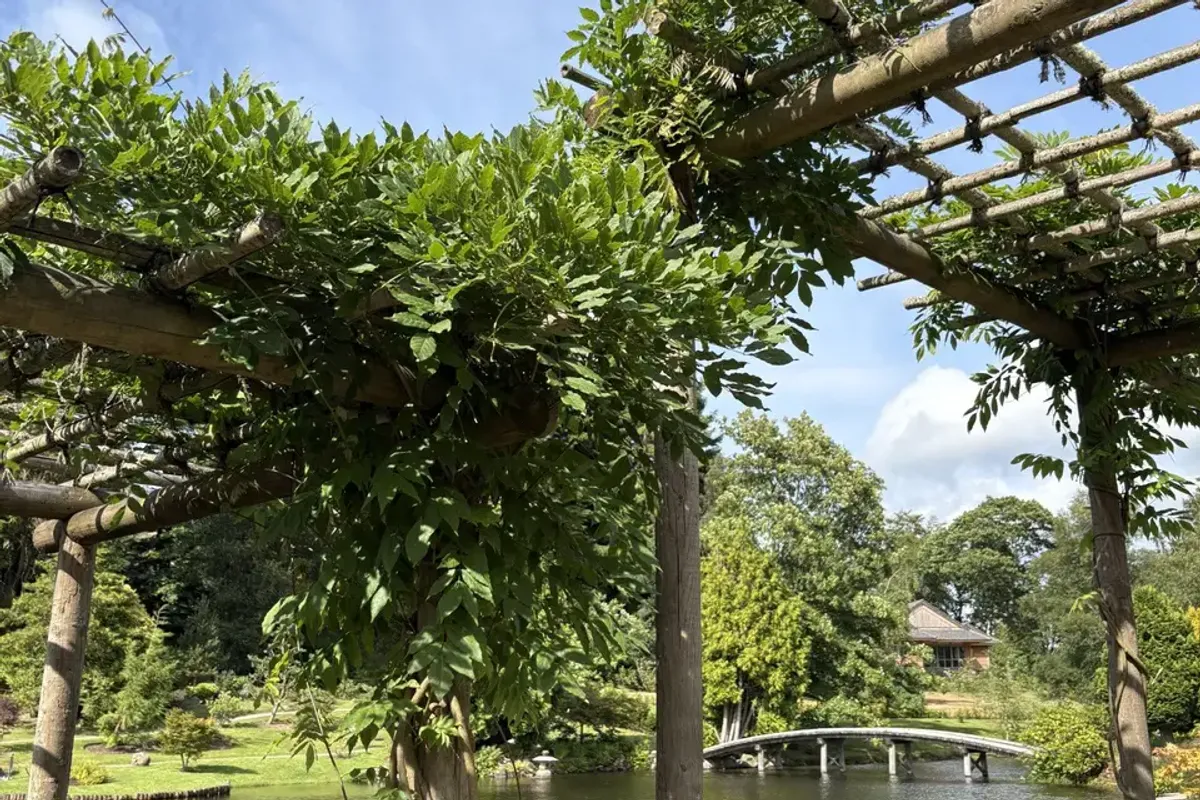The Japanese Garden at Cowden photo 10