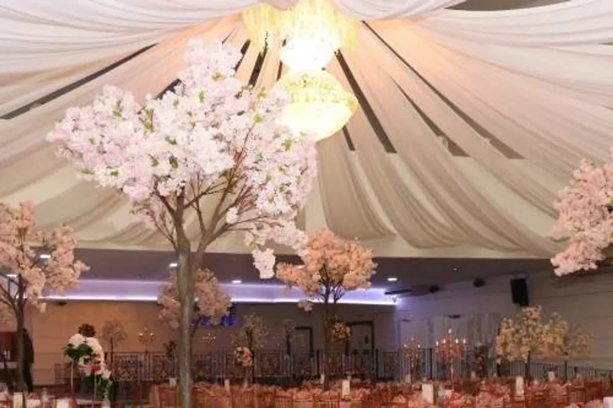 Mayfair Venue photo 4