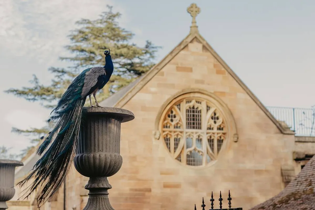 Ellingham Hall photo 8