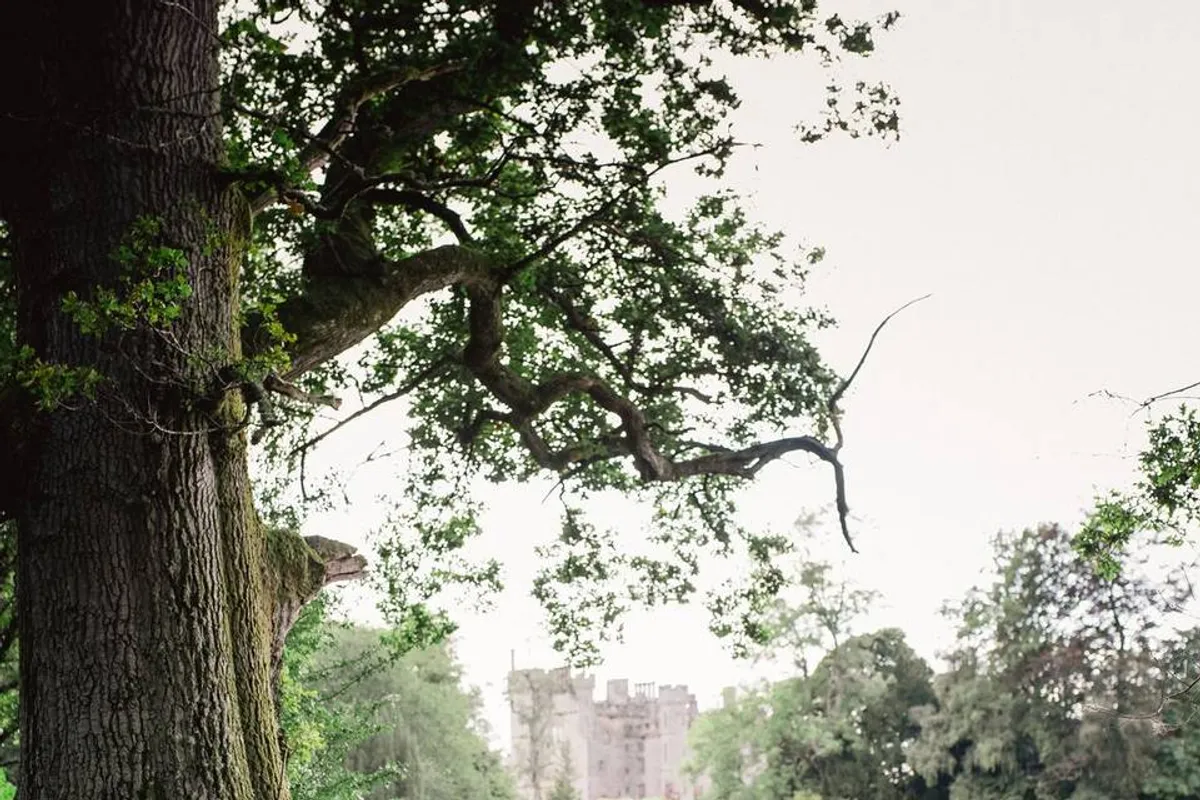 Duns Castle photo 11