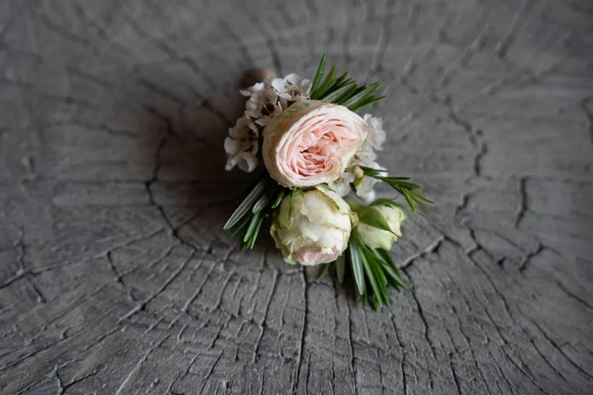 Coco & Bloom Ltd photo 2