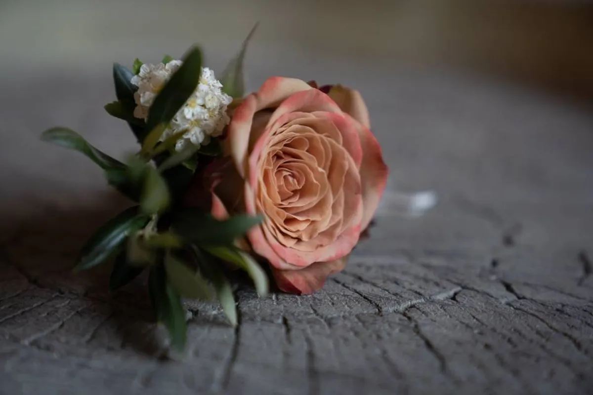 Coco & Bloom Ltd photo 7