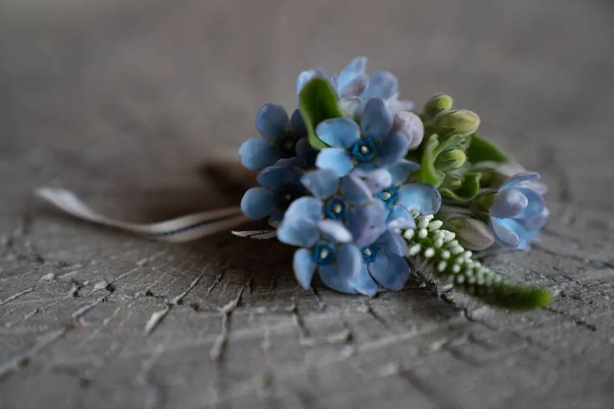 Coco & Bloom Ltd photo 5