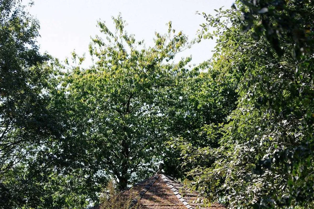 Crockwell Farm photo 2