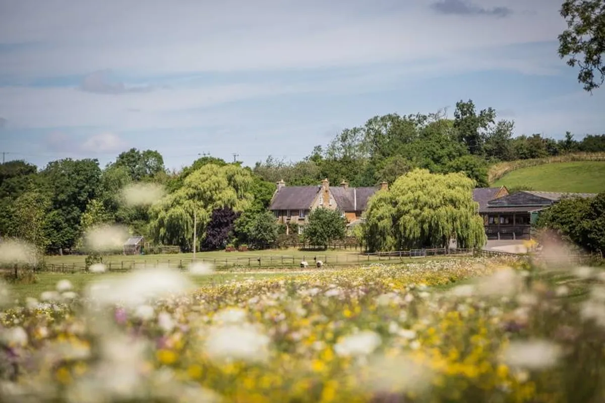 Crockwell Farm photo 6