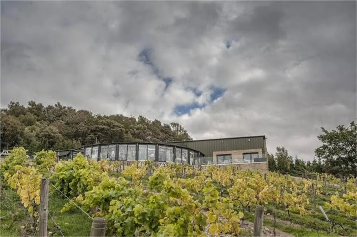 Holmfirth Vineyard photo 10