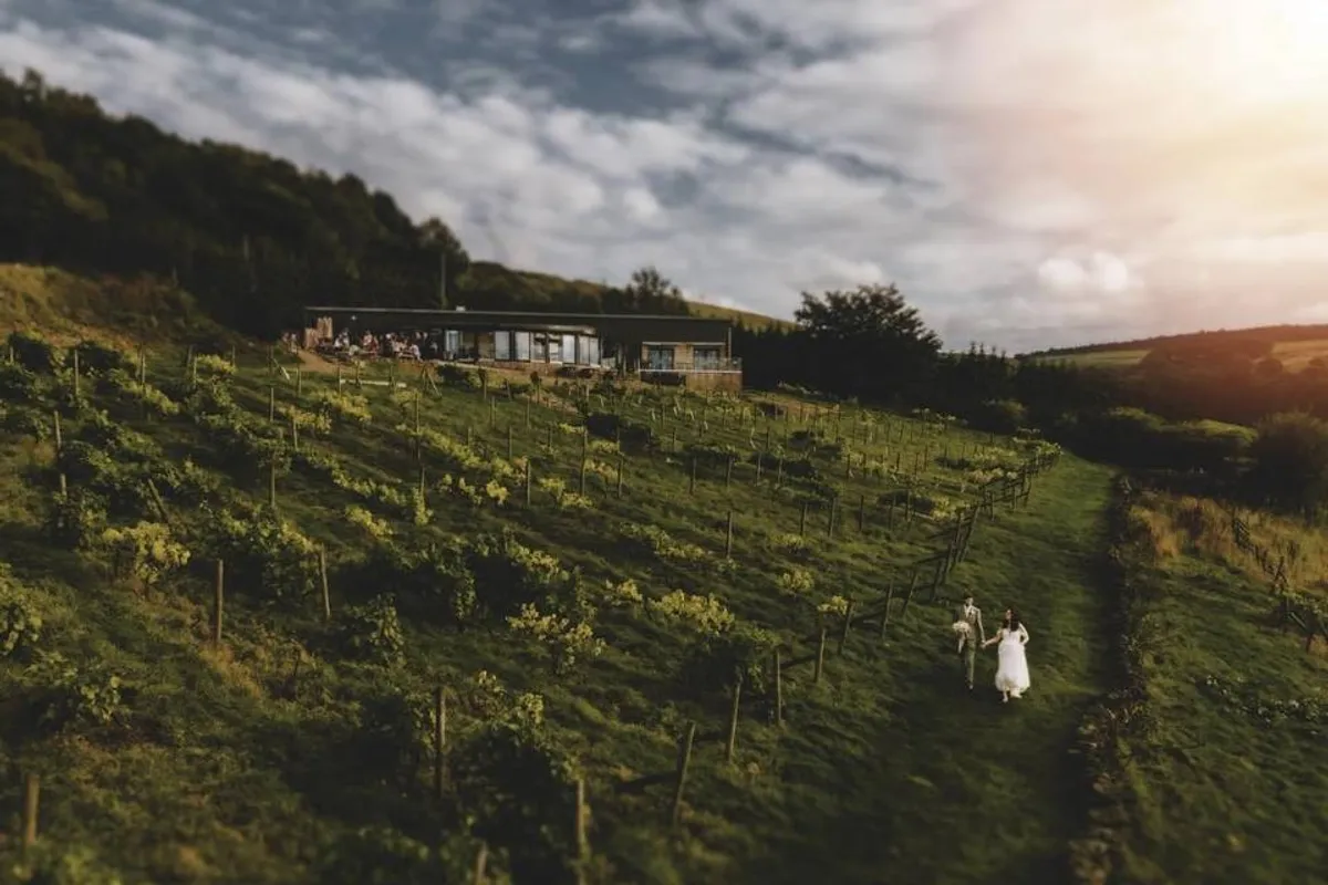 Holmfirth Vineyard photo 8