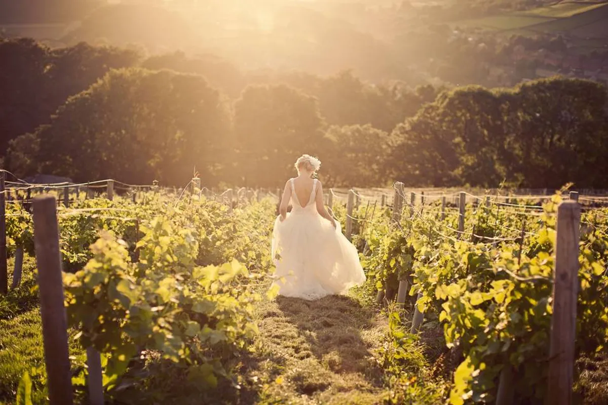 Holmfirth Vineyard photo 5