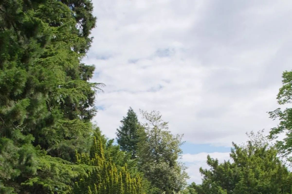 Norton House Hotel & Spa photo 9