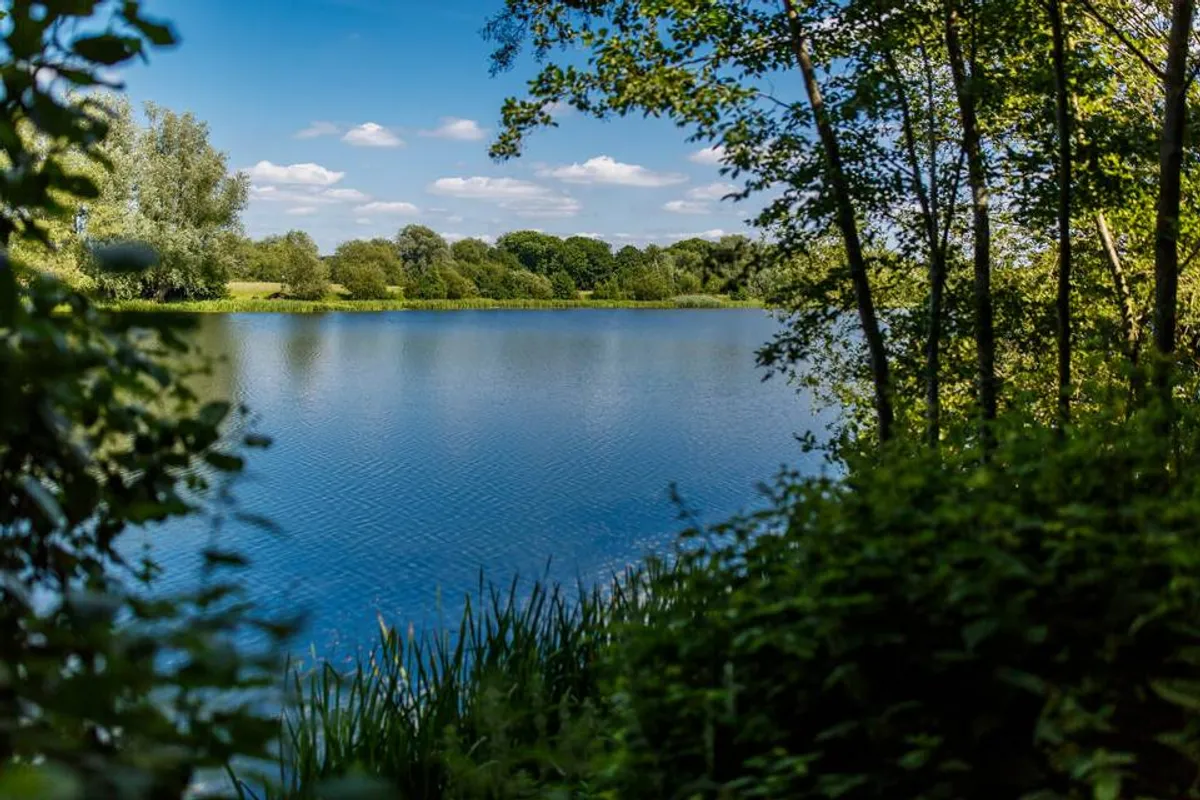 The Lakeside at Wild Berry Farm photo 12