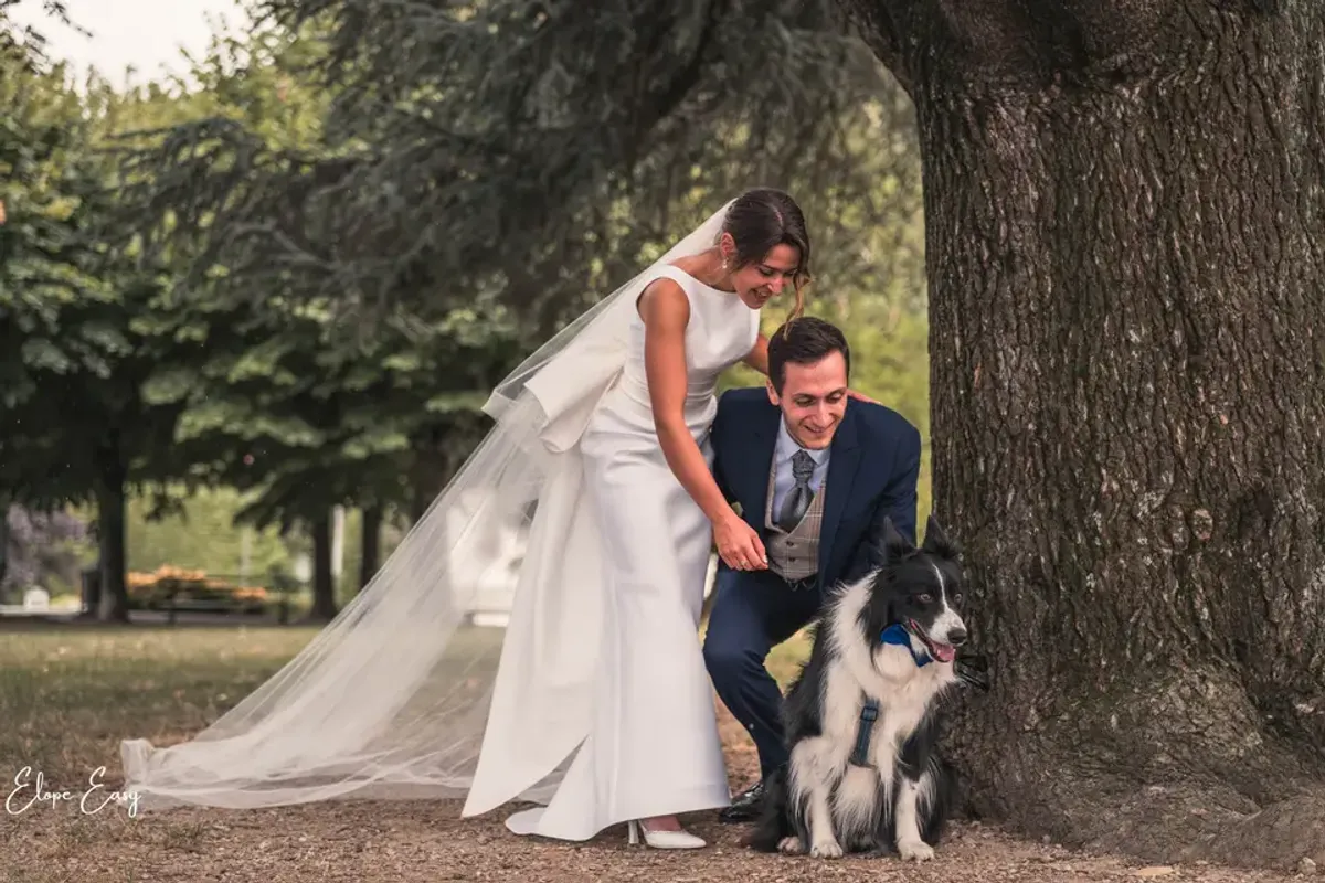 Elope Easy photo 1