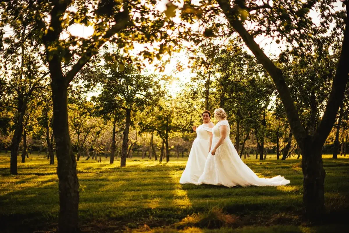 The Orchard at Munsley photo 6
